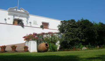 Lima City Tour, Chatedral, Convent of Santo Domingo and Larco Museum Half Day Tour
