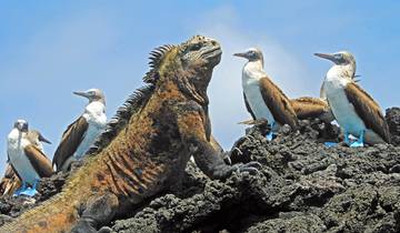 Galapagos Encompassed - 17 days Tour