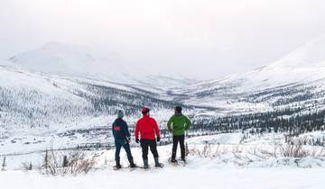 Aurora Borealis Explorer Tour