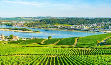 Charming Castles & Vineyards of the Rhine & Moselle 2026 - 8 Days (from Zurich to Frankfurt-am-Main) Tour