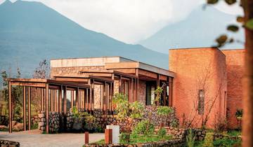 Gorillas hautnah erleben