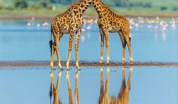 2 Days MIDRANGE SAFARI IN TANZANIA Tour