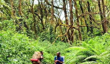 Kilimanjaro National Park Day Trip – Shira Plateau