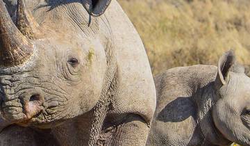 Botswana Family Safari with Teenagers