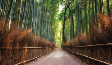 Essential Japan and Hakone end Hiroshima (13 destinations)