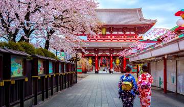 Tokyo, Kyoto and Alps (including Kusatsu)