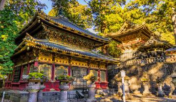 Wonderen van Japan - eindpunt Tokio-rondreis