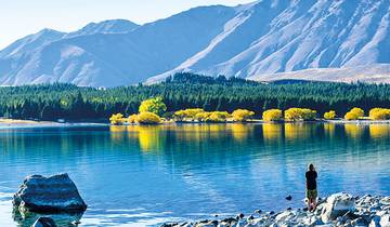 La Nouvelle-Zélande à couper le souffle - Train TranzAlpine circuit