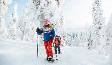 Lapland Winter Holiday