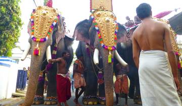 Cochin: 5-Day Kerala Tour with Munnar, Thekkady and Alleppey