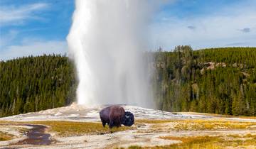 Yellowstone Camping Adventure - 7 days