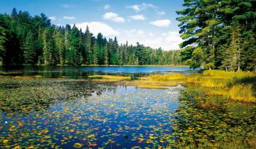 Algonquin mit dem Kanu - Zelt Rundreise