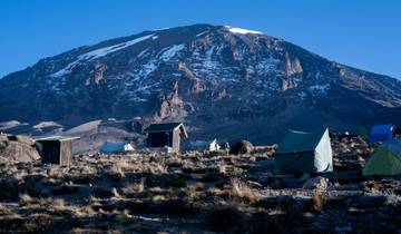 7 Tage Kilimandscharo Besteigung über die Lemosho Route Trekking Rundreise