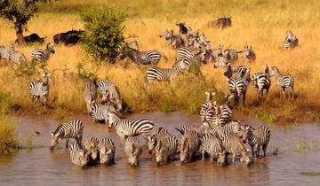 12- Days Tanzania Safari and Beach  Holiday Tour