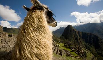 8 jours sur la route des énergies ancestrales : Lima, Cusco, Vallée sacrée, Machu Picchu, Puno et lac Titicaca circuit