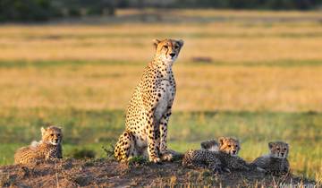 3 Day Maasai Mara Group Joining-Fixed Departure Dates Tour