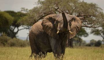 4 Tage Tansania Safari Verlängerung Rundreise