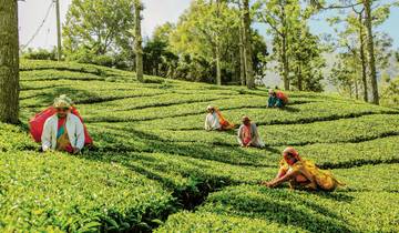 Hiking Sri Lanka in comfort