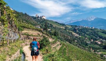 South Tyrolean Wine and Alpine Pasture Trail