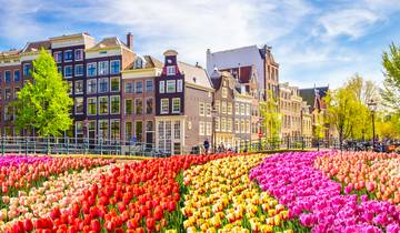 Brussels & Holland & Belgium in Bloom