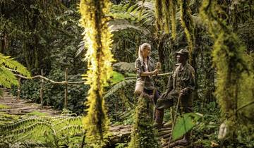 Sanctuary Gorilla Forest Camp Tour