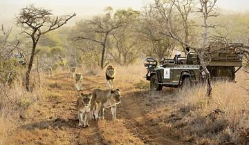 Thanda Safari & White Pearl Resort