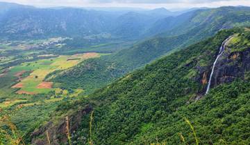 3 Day Kerala Itinerary, incl. Kochi and Periyar Wildlife Sanctuary