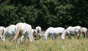 Alpe Adria Tour via Slovenia - From Villach to Trieste