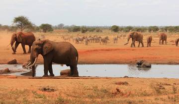 TSAVO EAST NATIONAL PARK DAY TRIP Tour