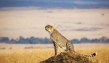 3 DAYS MAASAI MARA NATIONAL RESERVE Tour