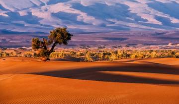 Marrakech Morocco to Atlas Trek & Merzouga Desert Glamping 8 Days private tour Tour