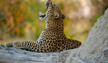 Kenya & Tanzania: 11-Day Spirit&Soul of Africa (Tanzania/Kenya) - Classic Safari Tour