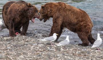 Awesome Alaska Camping - 20 days