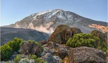 8-day Kilimanjaro via the Lemosho Route