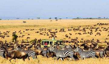 12 Day Kenya and Tanzania Luxury Trip - Private Tour