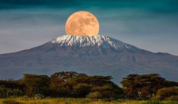 KILIMANJARO MACHAME ROUTE 8 DAYS Tour