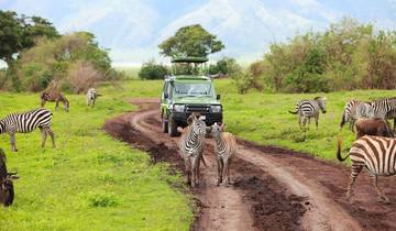 Kenya: The Great Lakes and Maasai Mara Safari