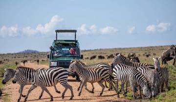 Nairobi : 10 Days Maasai Mara Big Five Super Luxury Flying Safari Tour