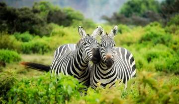 10 Days Kenya Honeymoon Odysseys Tour