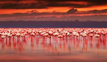 Kenya : Magic of Kenya Safari and Diani Beach Holiday Tour