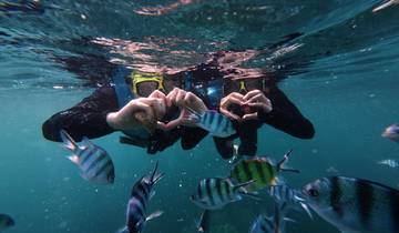 Phu Quoc Trip: 3 Eilanden Snorkeltour van een hele dag | 3 Eilanden Trip - Xuong Eiland - Gam Ghi Eiland - May Rut Trong Eiland | Vietnam-rondreis