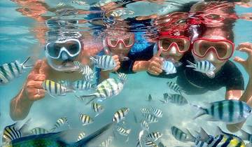 7 Day Bangkok to Landless Village and Seafood Buffet, Thailand Tour