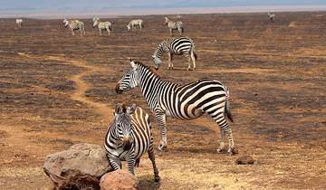 Namibia Highlights Family Camping Safari, 14 Day Tour