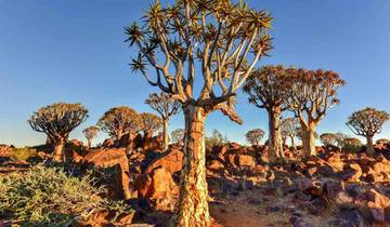 14 Day Namibia Itinerary, incl. Windhoek and Etosha National Park