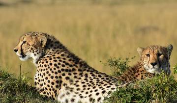 10 Days in Botswana Safari, incl. Okavango Delta and Chobe
