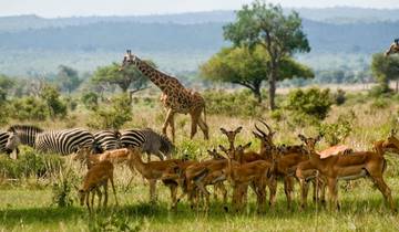 10 Days in Botswana Safari, incl. Okavango Delta and Chobe