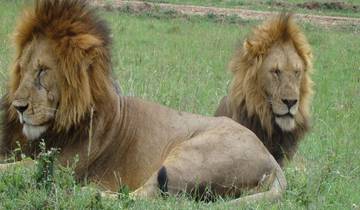 3 Days in Amboseli National Park, incl. Nairobi and Mount Kilimanjaro Views