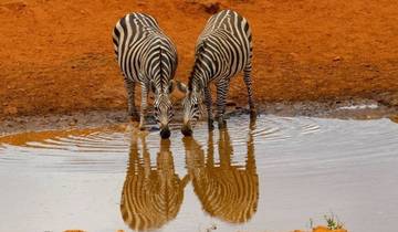 Kenya: 5-Day Mombasa/Tsavo East/Tsavo West/Amboseli/Nairobi Tour