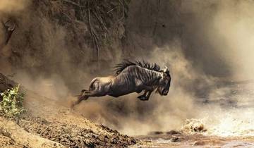 Kenya: 6-Day Wildebeests Kenyan Migration Safari Tour