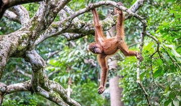 Aventura en Borneo (9 días)